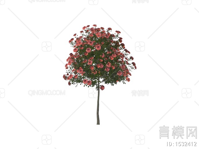 月季花，蔷薇3D模型下载【ID:1532412】