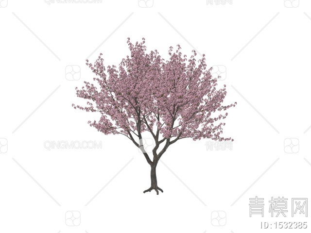 樱花树， 桃花树，开花树3D模型下载【ID:1532385】