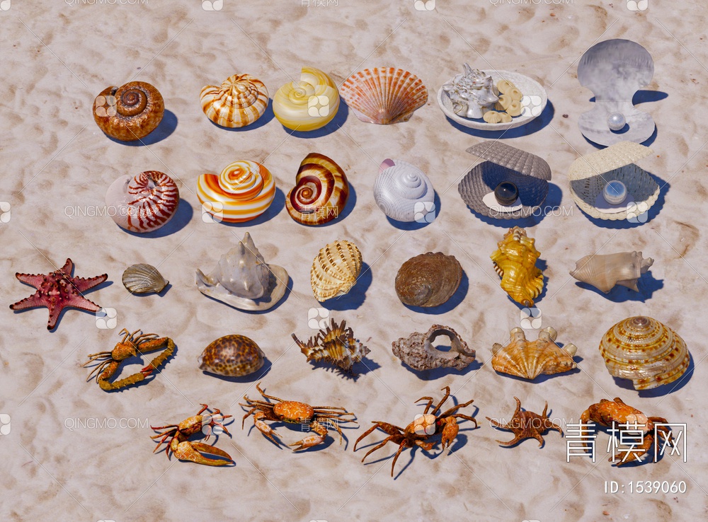 摆件 贝壳 海螺 蜗牛 扇贝 海洋生物 海星 螃蟹SU模型下载【ID:1539060】