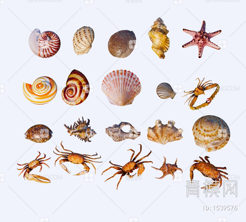 摆件 贝壳 海螺 蜗牛 扇贝 海洋生物 海星 螃蟹 海洋生物摆件贝壳摆件SU模型下载【ID:1539576】