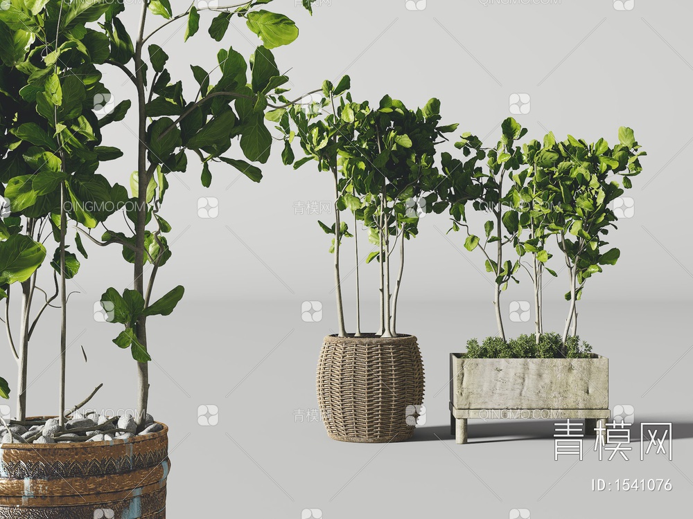 绿植，盆栽3D模型下载【ID:1541076】