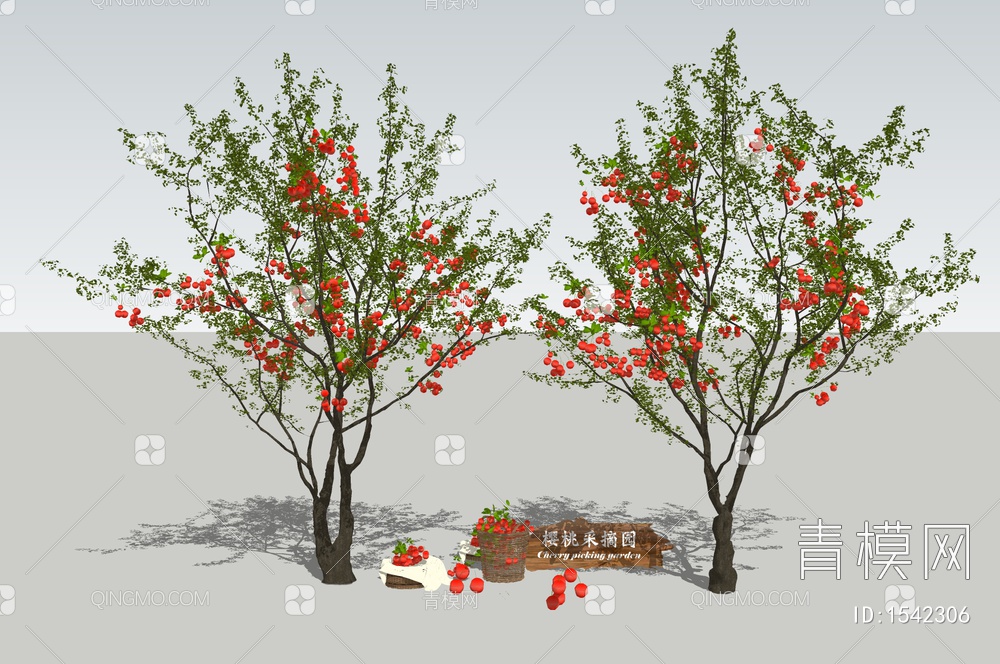 樱桃 果树 采摘园  农业种植 乔木 景观树SU模型下载【ID:1542306】