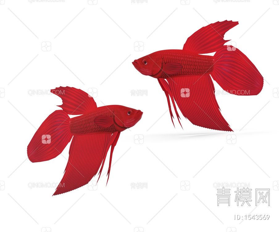 海洋生物 小金鱼3D模型下载【ID:1543569】