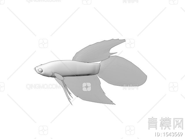 海洋生物 小金鱼3D模型下载【ID:1543569】