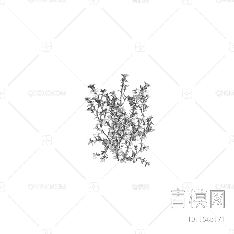 Lobelia erinus 小紫花草3D模型下载【ID:1548171】