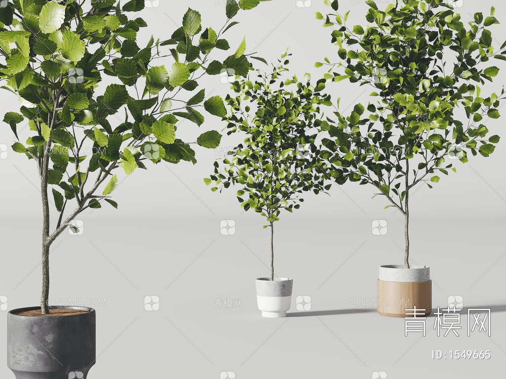 盆栽绿植3D模型下载【ID:1549665】