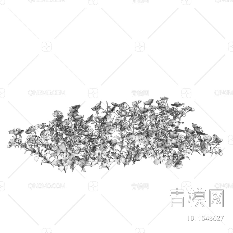 Oenothera 碎花草3D模型下载【ID:1548627】