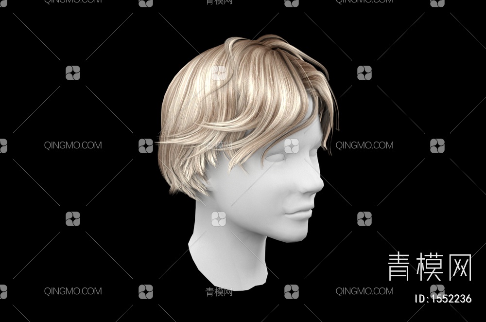 男士发型 造型 头发3D模型下载【ID:1552236】