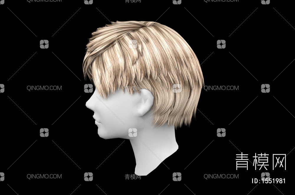男士发型 造型 头发3D模型下载【ID:1551981】