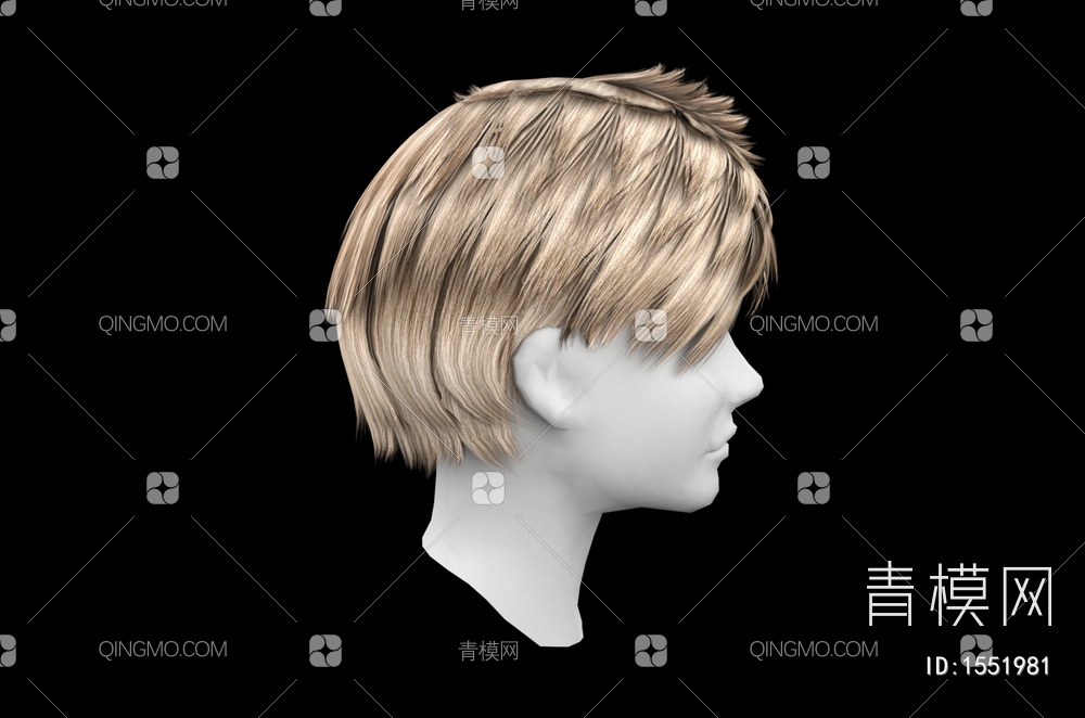 男士发型 造型 头发3D模型下载【ID:1551981】