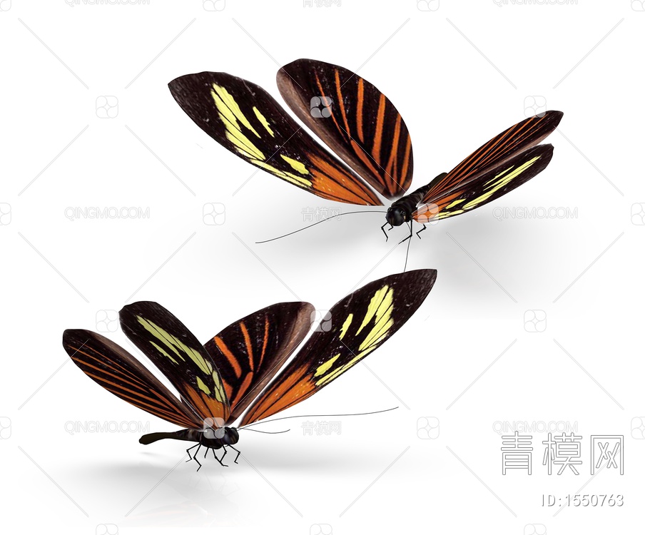 飞行类生物 蝴蝶3D模型下载【ID:1550763】