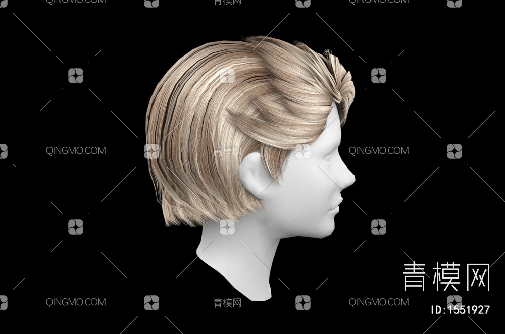 男士发型 造型 头发3D模型下载【ID:1551927】