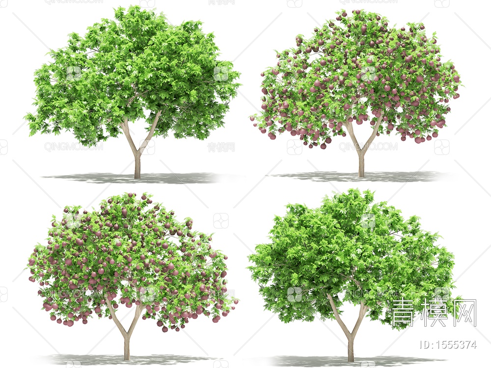 无花果树3D模型下载【ID:1555374】