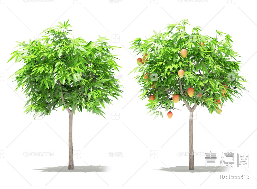 芒果树3D模型下载【ID:1555413】