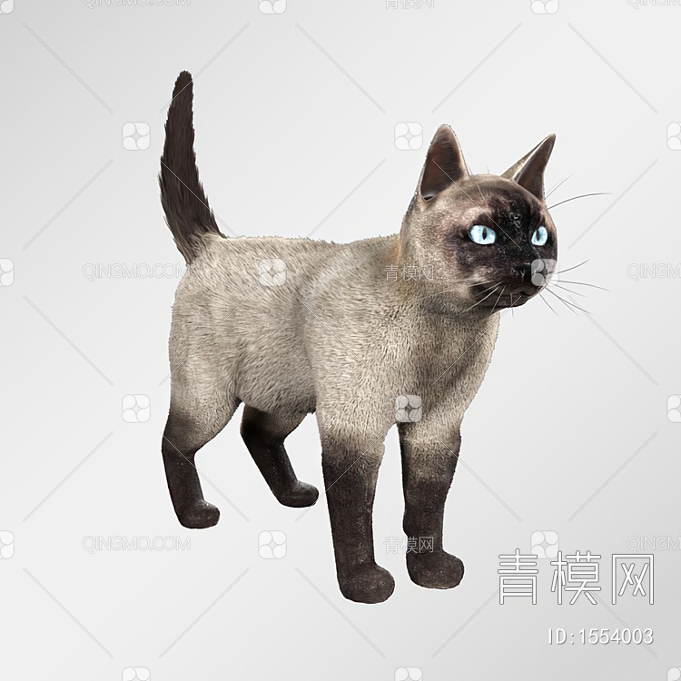 猫3D模型下载【ID:1554003】