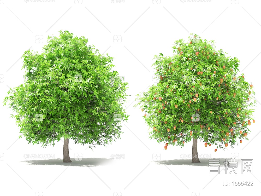 芒果树3D模型下载【ID:1555422】