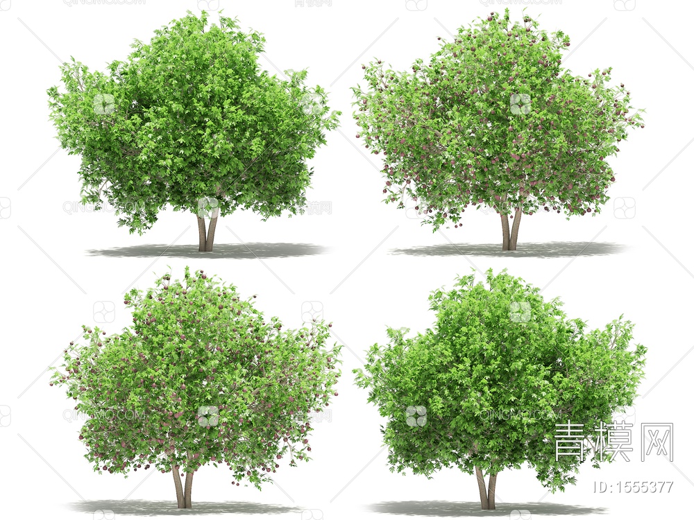 无花果树3D模型下载【ID:1555377】