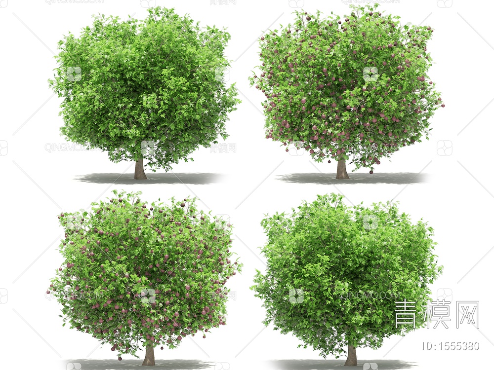 无花果树3D模型下载【ID:1555380】