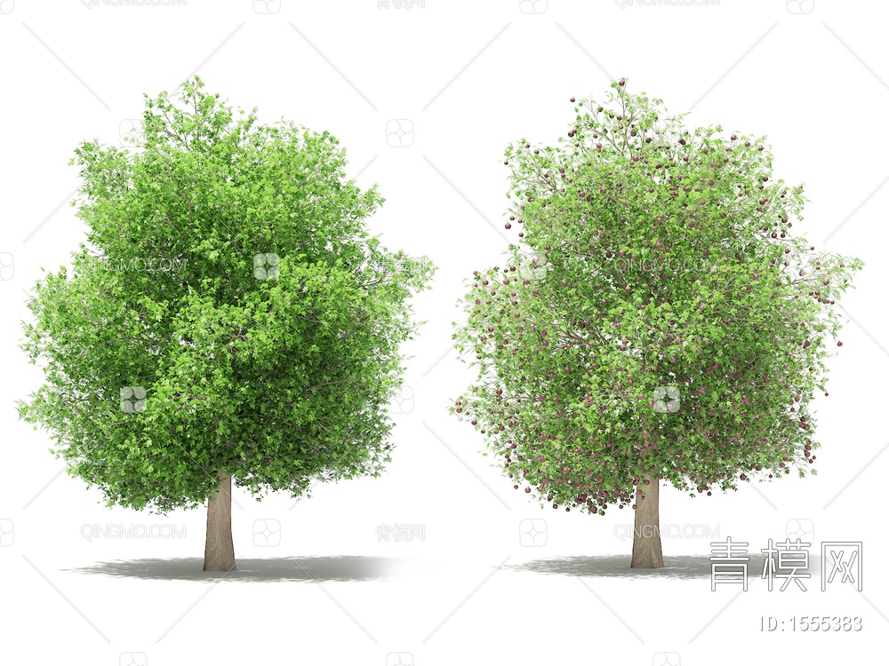 无花果树3D模型下载【ID:1555383】