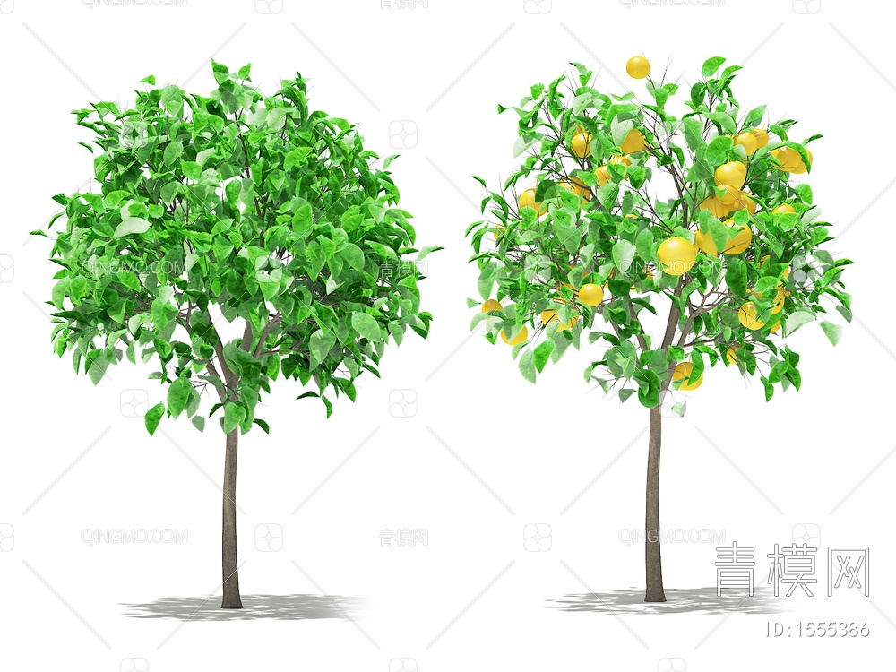 柠檬树3D模型下载【ID:1555386】