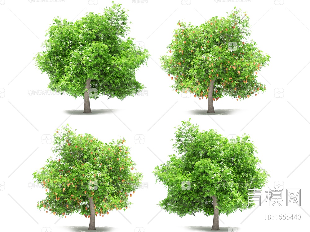 芒果树3D模型下载【ID:1555440】