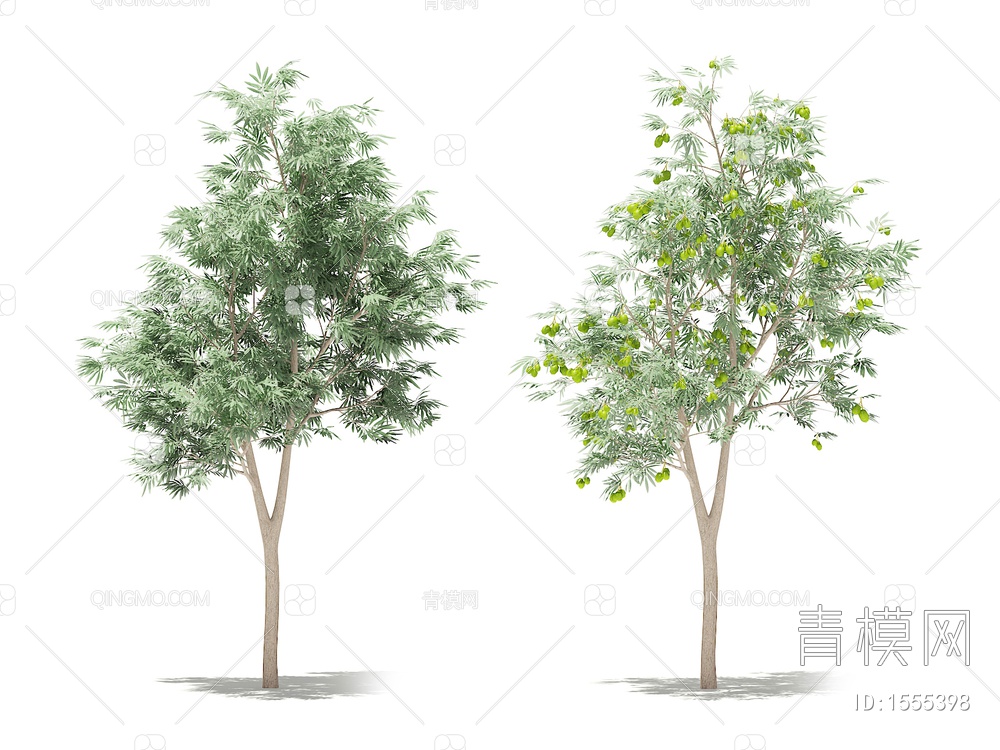 枣树3D模型下载【ID:1555398】