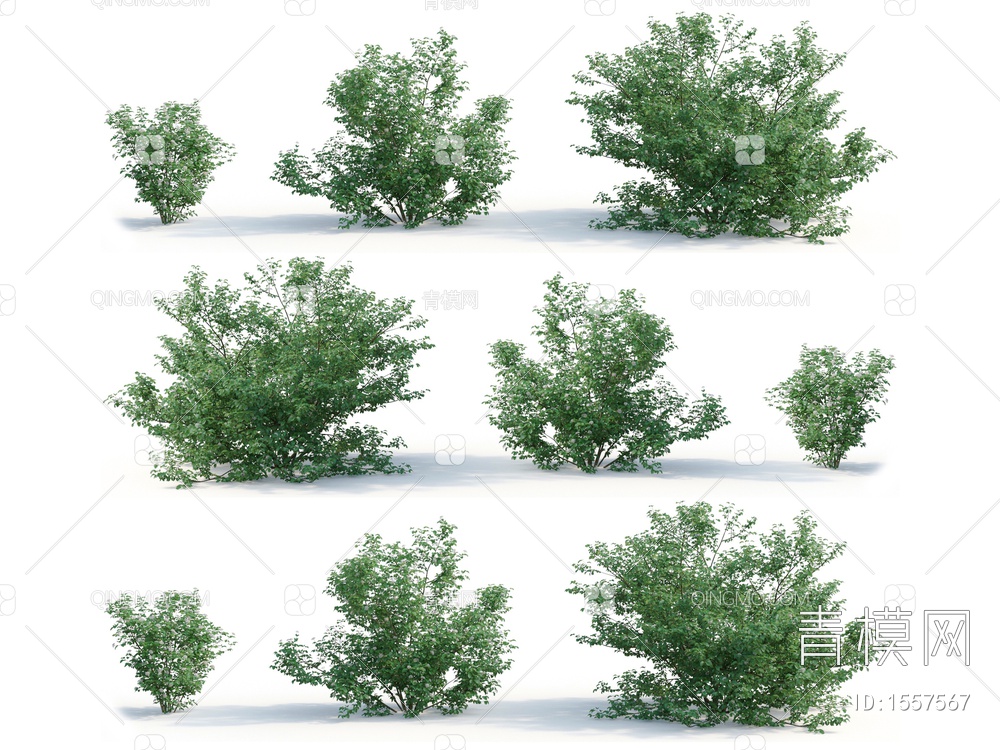 灌木3D模型下载【ID:1557567】