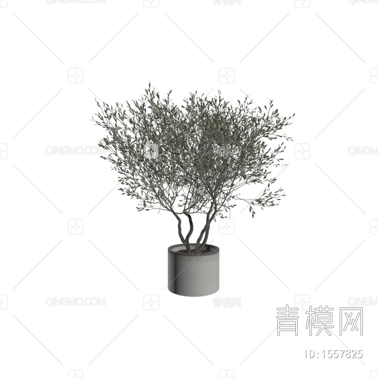 盆栽3D模型下载【ID:1557825】