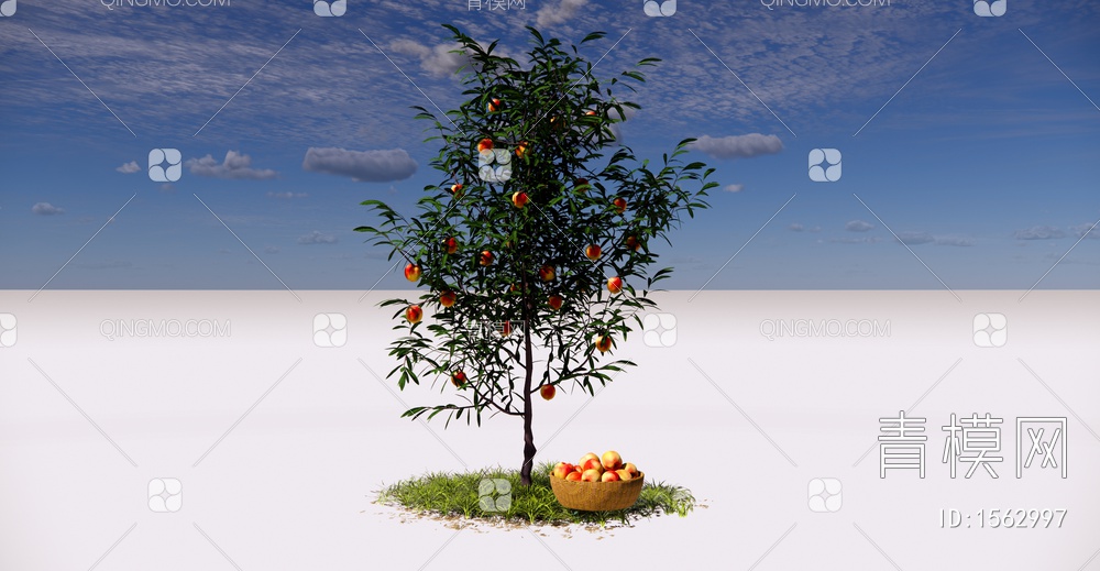 桃树 桃子树 油桃树 庭园景观树 乔木 桃子果树SU模型下载【ID:1562997】