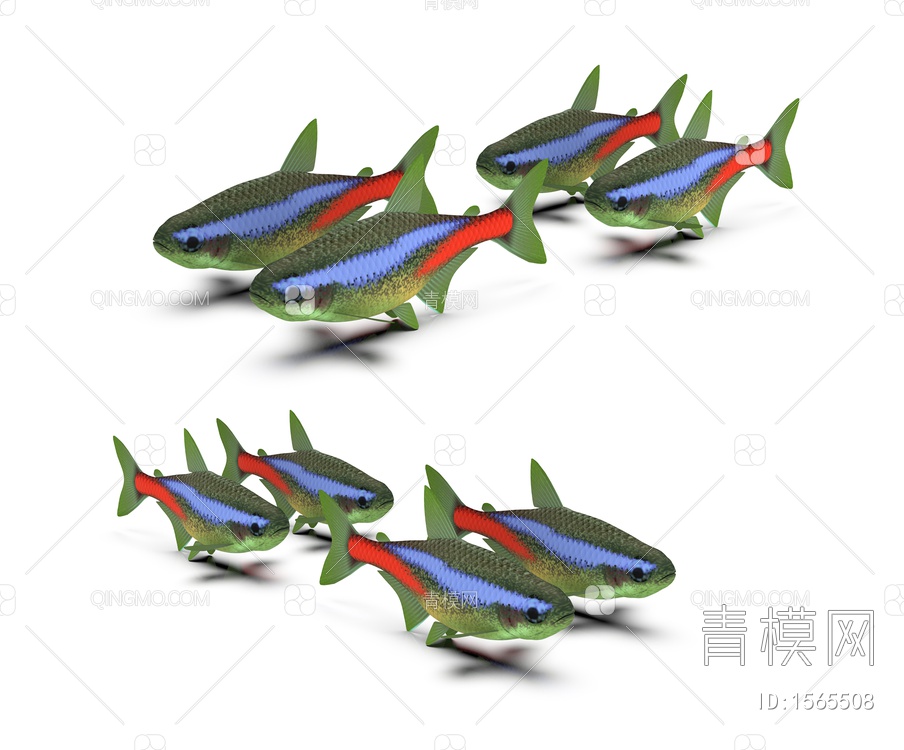 海洋生物 热带鱼3D模型下载【ID:1565508】