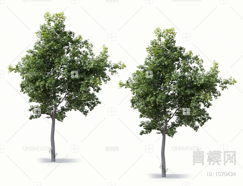 景观树3D模型下载【ID:1570434】