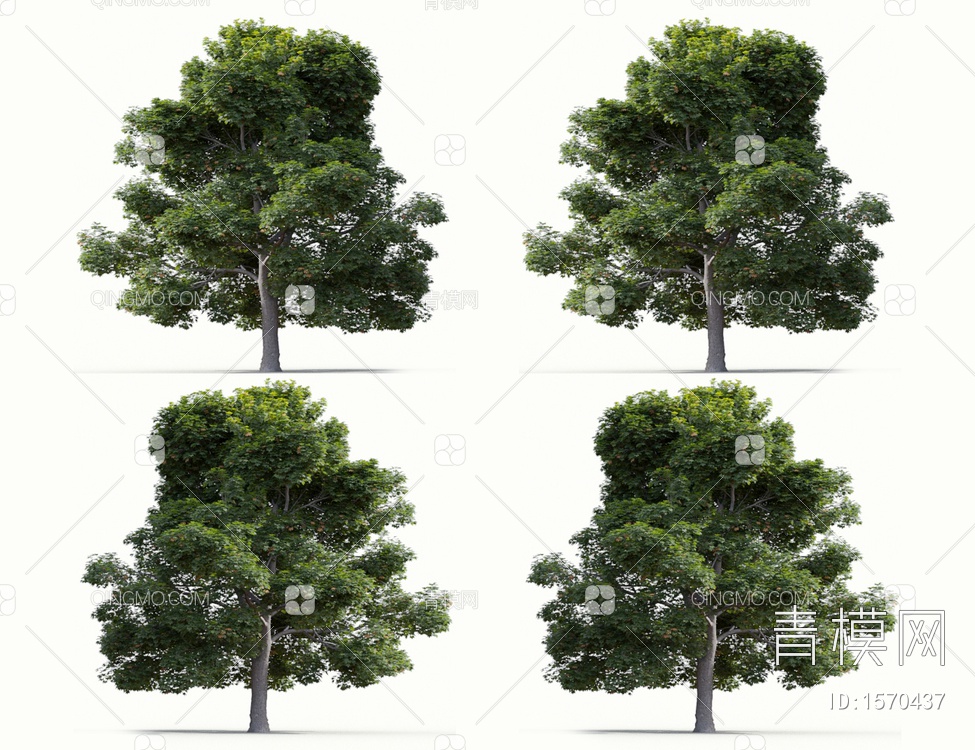 景观树3D模型下载【ID:1570437】