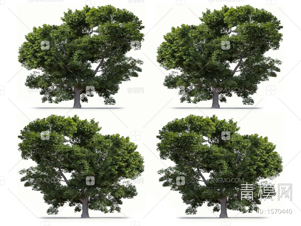 景观树3D模型下载【ID:1570440】