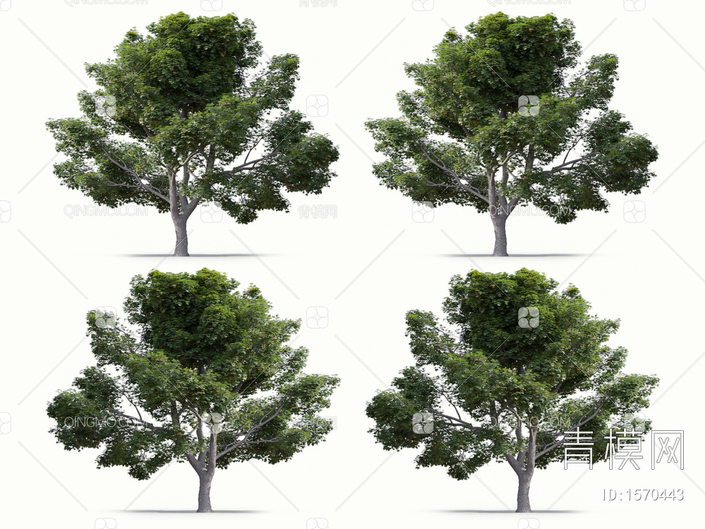 景观树3D模型下载【ID:1570443】