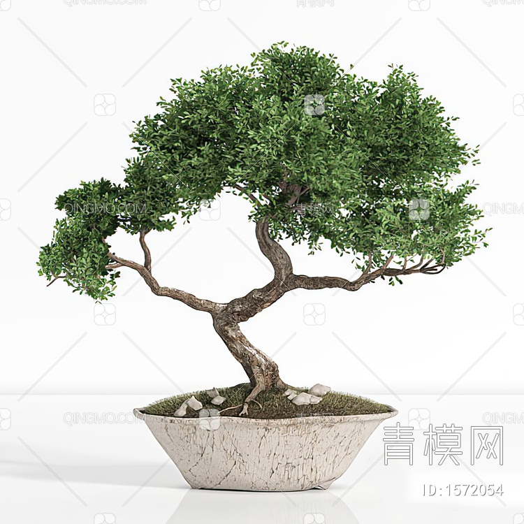 盆栽3D模型下载【ID:1572054】