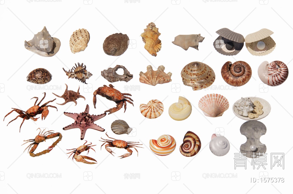 贝壳 海螺 蜗牛 扇贝 海洋生物 海星 螃蟹 海洋生物摆件 贝壳摆件SU模型下载【ID:1575378】