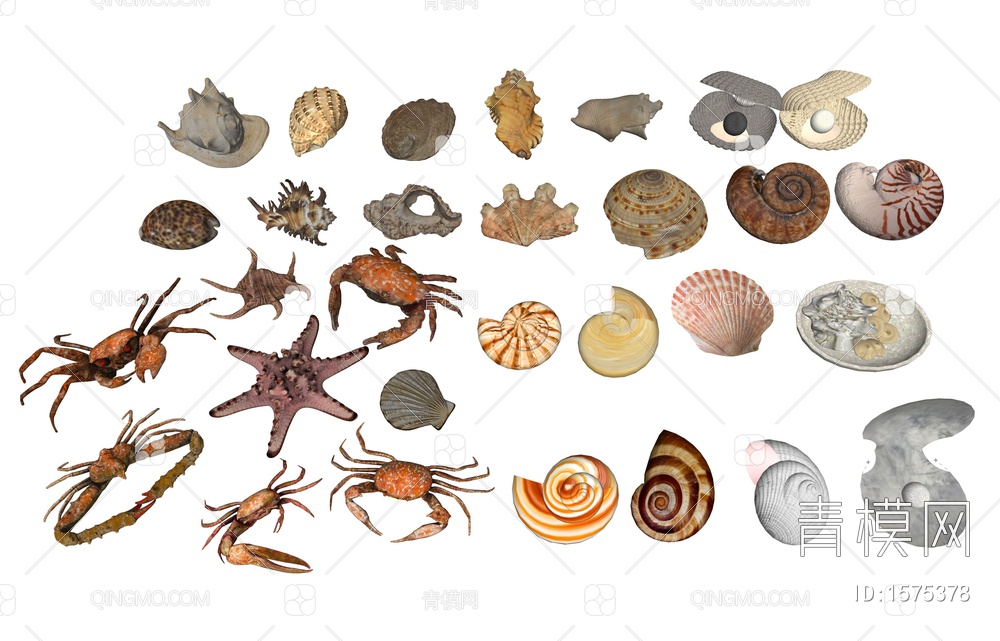贝壳 海螺 蜗牛 扇贝 海洋生物 海星 螃蟹 海洋生物摆件 贝壳摆件SU模型下载【ID:1575378】