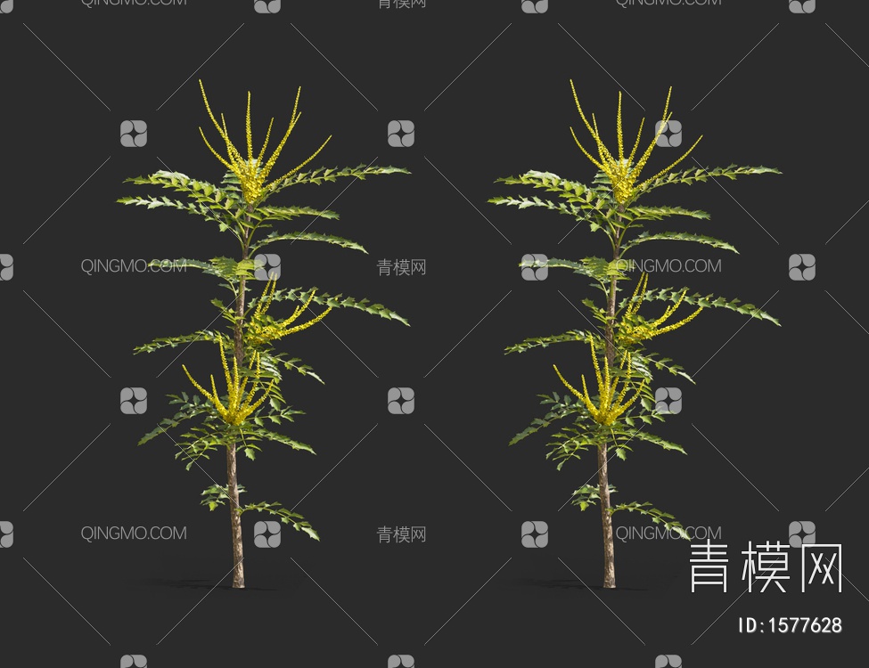 花草3D模型下载【ID:1577628】