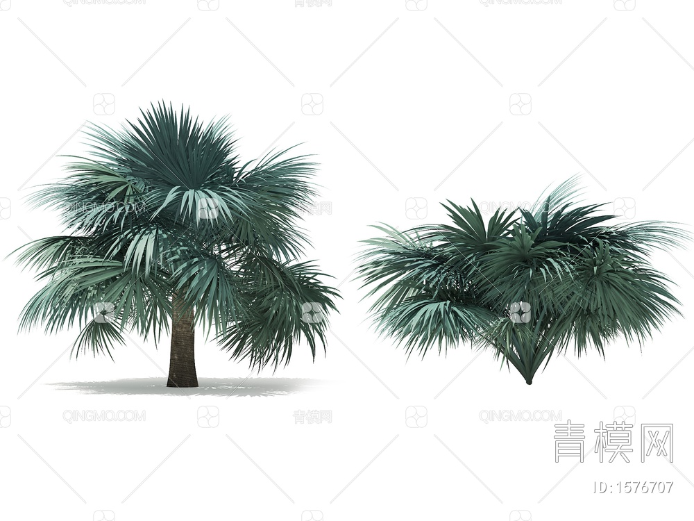 热带树3D模型下载【ID:1576707】