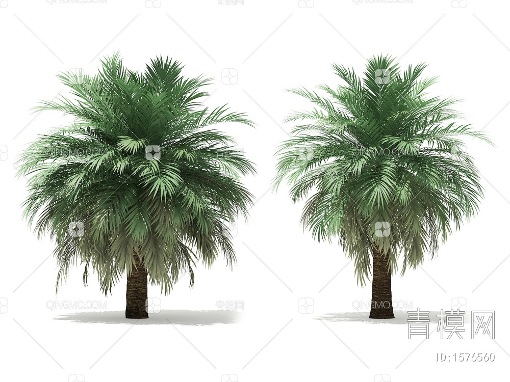 热带树3D模型下载【ID:1576560】