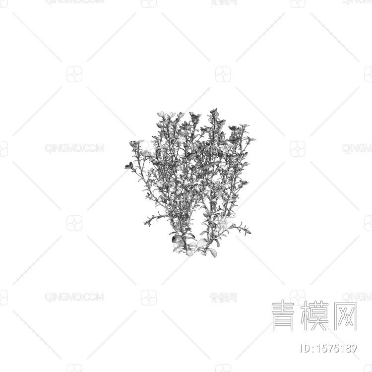 小蓝紫花草3D模型下载【ID:1575189】