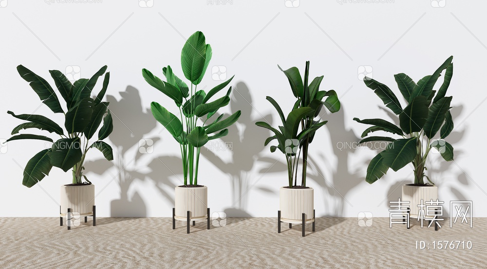 绿植 植物 盆栽 花盆 大叶植物 芭蕉叶绿植3D模型下载【ID:1576710】