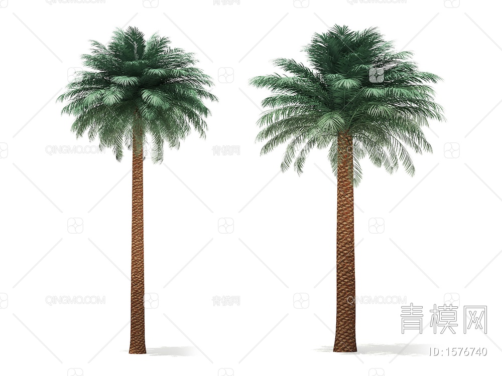热带树3D模型下载【ID:1576740】