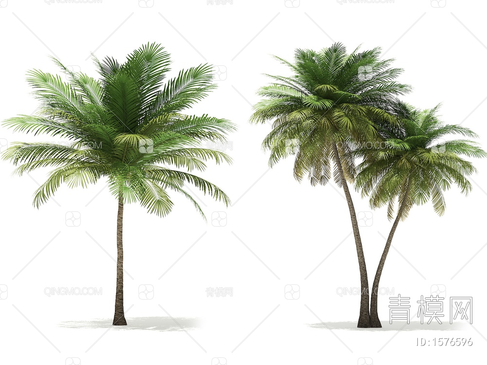 热带树3D模型下载【ID:1576596】