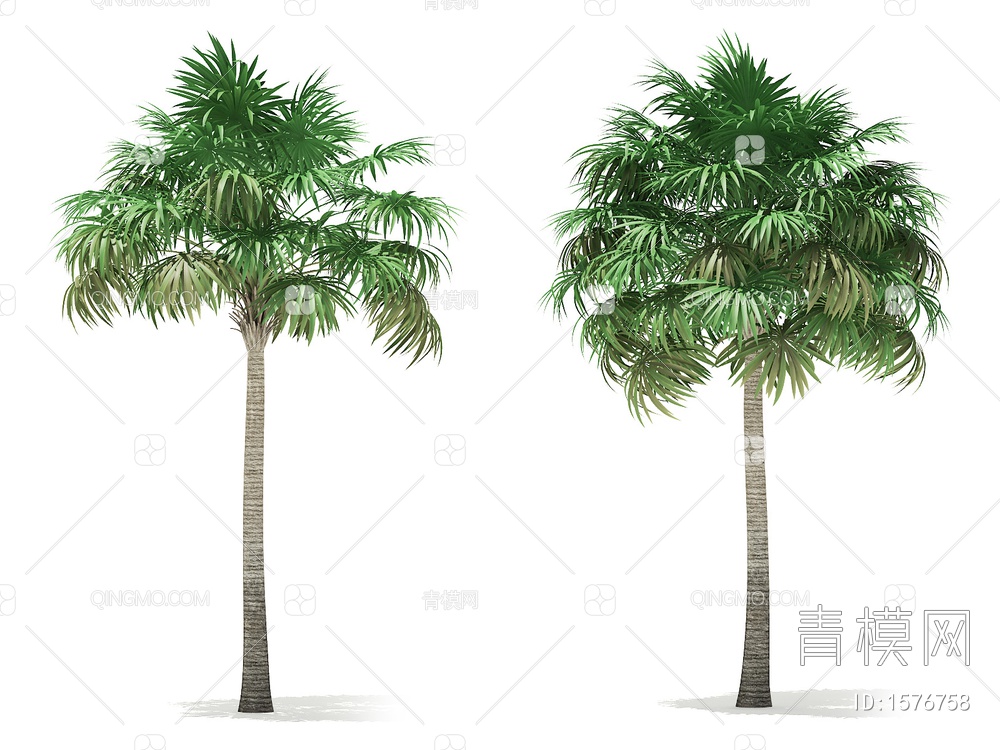 热带树3D模型下载【ID:1576758】