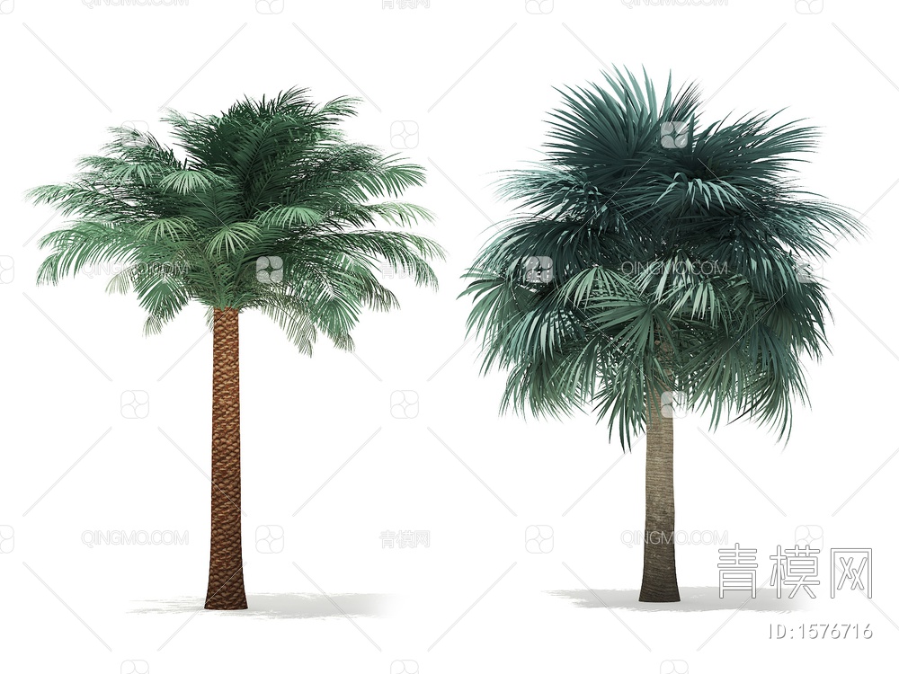 热带树3D模型下载【ID:1576716】