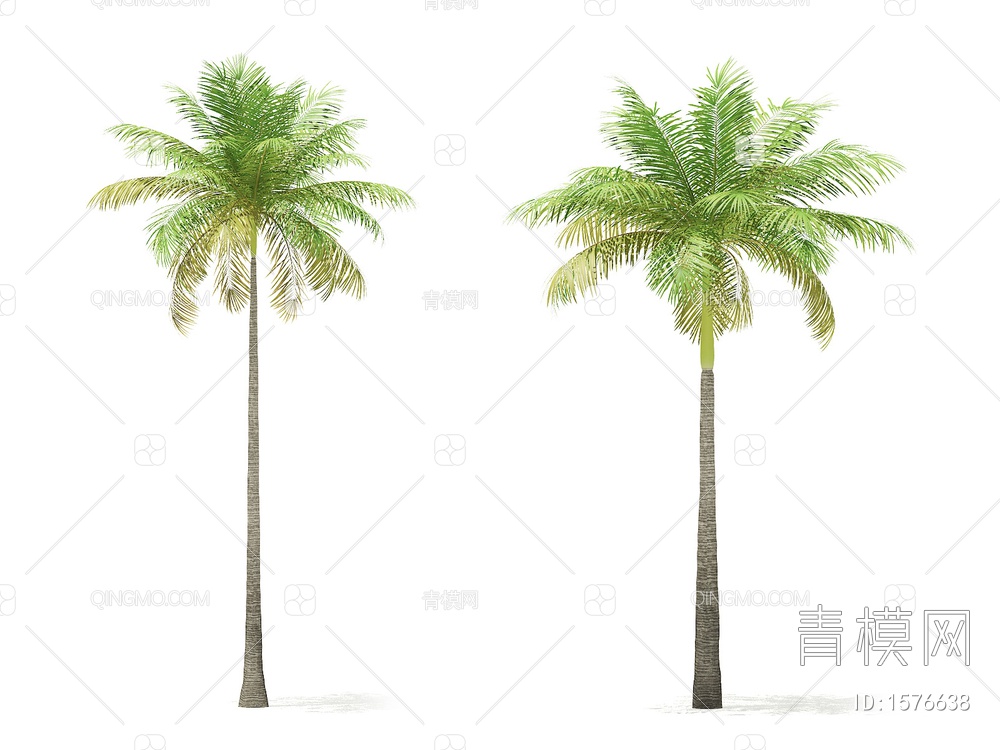 热带树3D模型下载【ID:1576638】