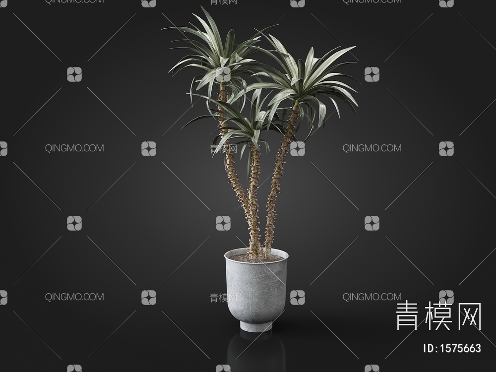 植物盆栽3D模型下载【ID:1575663】