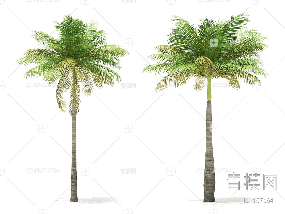 热带树3D模型下载【ID:1576641】