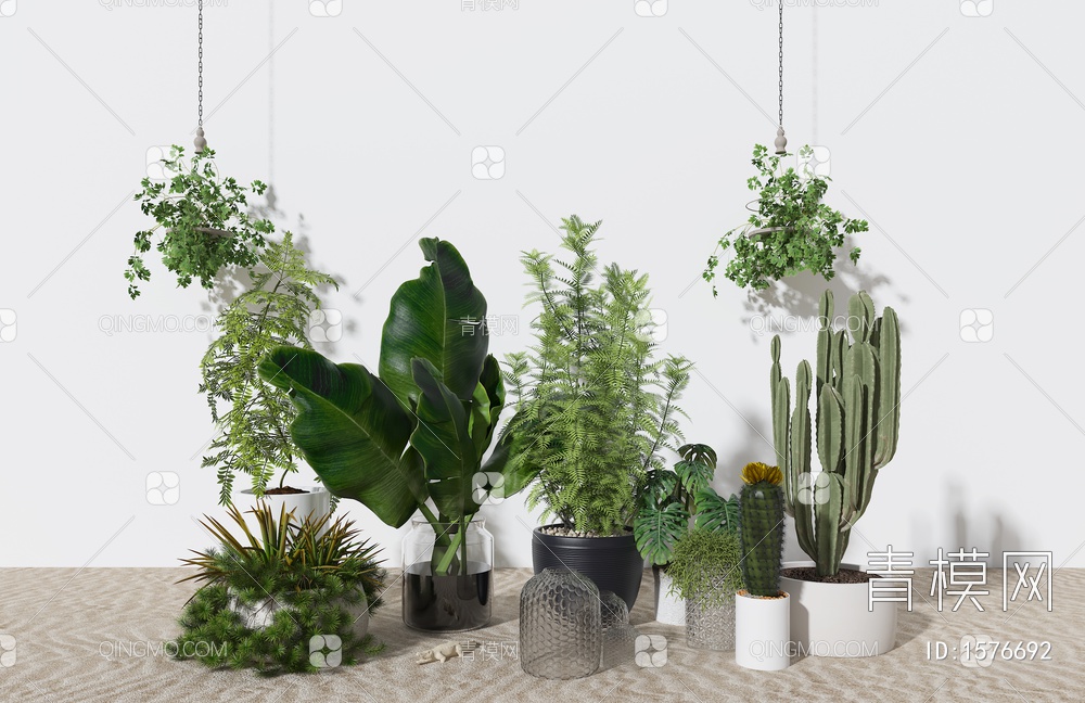 盆栽 植物3D模型下载【ID:1576692】